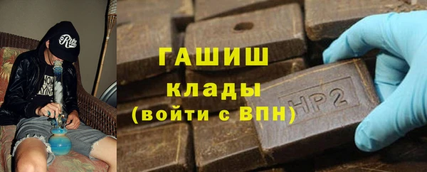 шишки Гусиноозёрск