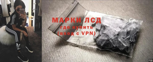 шишки Гусиноозёрск