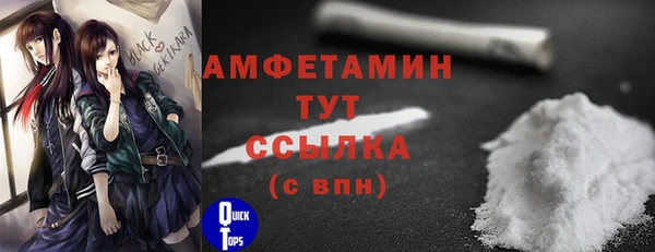 шишки Гусиноозёрск