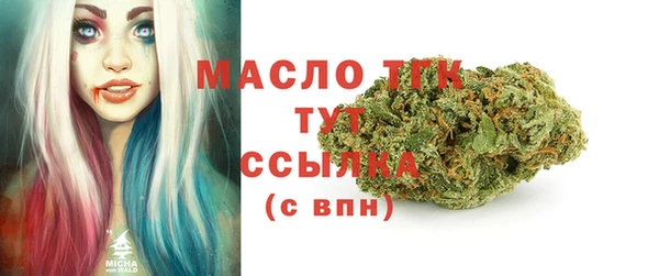 гидра Гусев