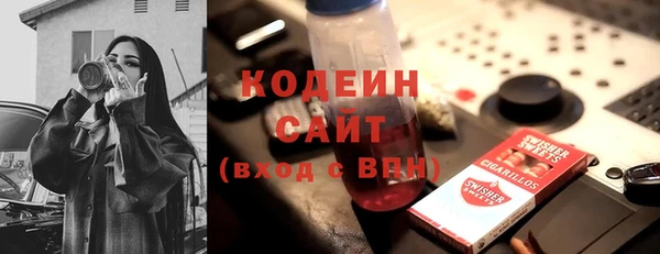шишки Гусиноозёрск