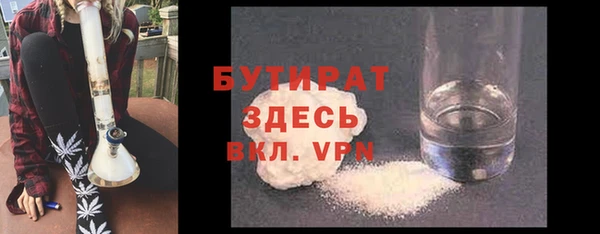шишки Гусиноозёрск