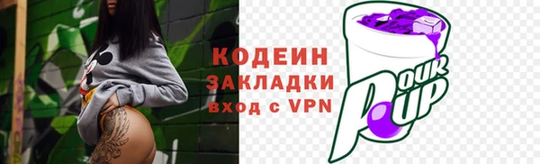 гидра Гусев