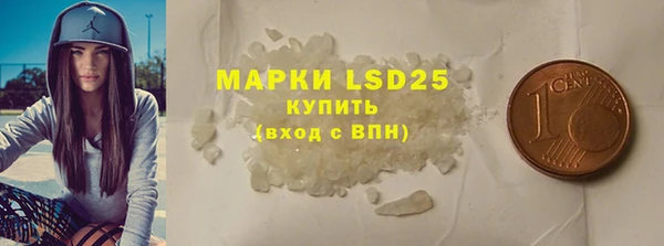 шишки Гусиноозёрск
