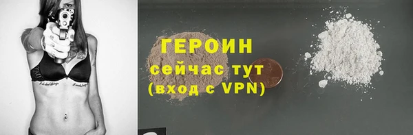 гидра Гусев