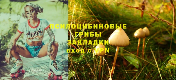 гидра Гусев