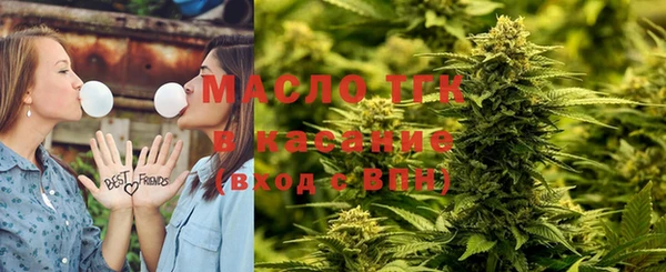 ешки Горняк