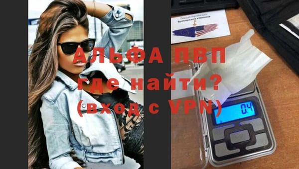 шишки Гусиноозёрск