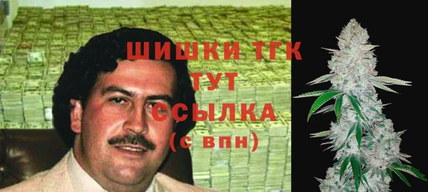 гидра Гусев