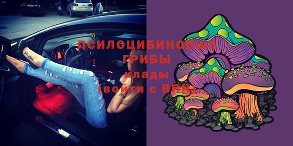 альфа пвп Гусь-Хрустальный