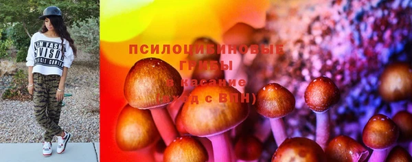 гидра Гусев