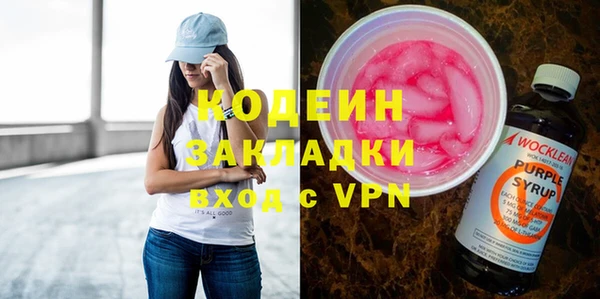 шишки Гусиноозёрск