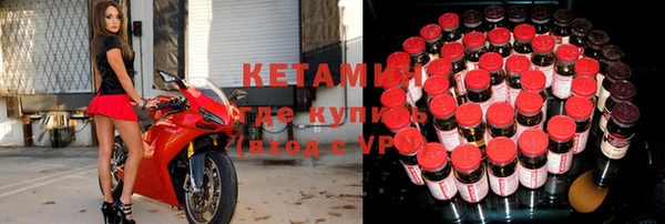 шишки Гусиноозёрск