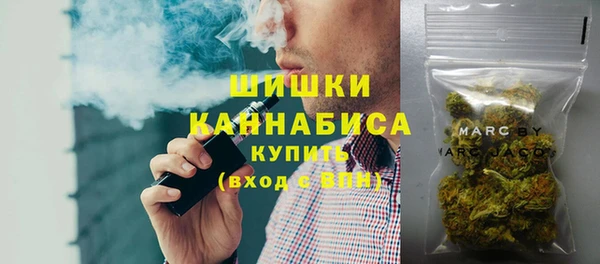 мдпв Горно-Алтайск