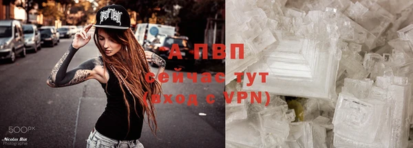 тгк Медвежьегорск
